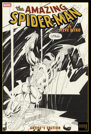 Amazing Spider Man By Steve Ditko Artists Edition HC Rain Cvr