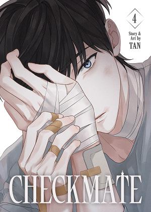 Checkmate Vol. 4 cover