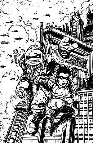 Teenage Mutant Ninja Turtles: The Last Ronin--Training Day Cover A (Escorza Brothers) #1 cover