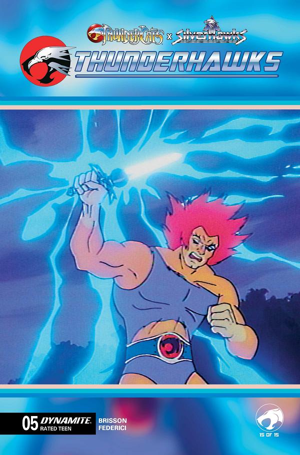 Thundercats X Silverhawks Thunderhawks #5 variant cover by Animation Art