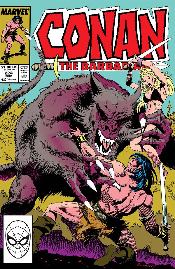 Conan The Barbarian #224  cover