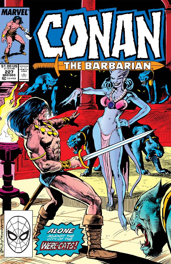 Conan The Barbarian #227  cover