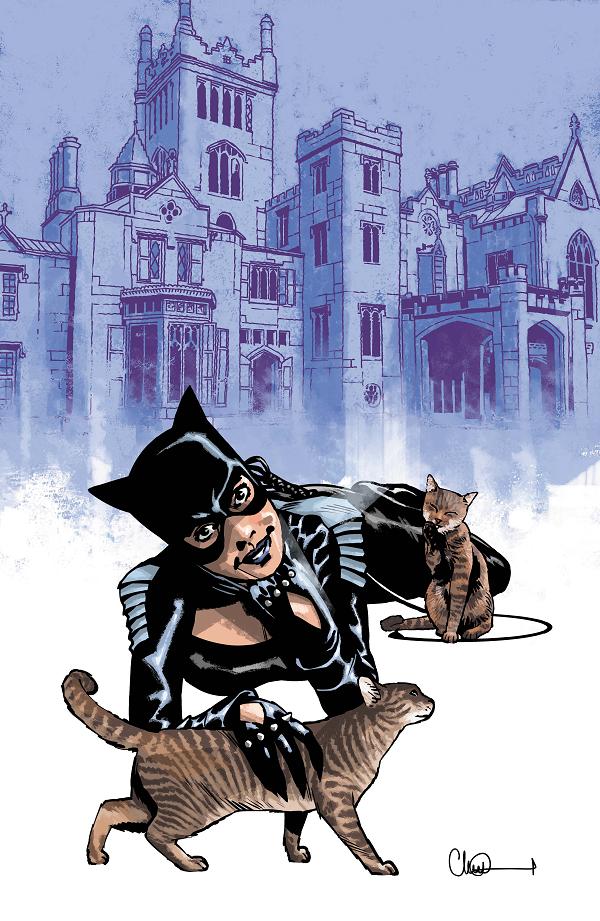 Catwoman #91 CVR C CVR C CHARLIE ADLARD CARD STOCK cover
