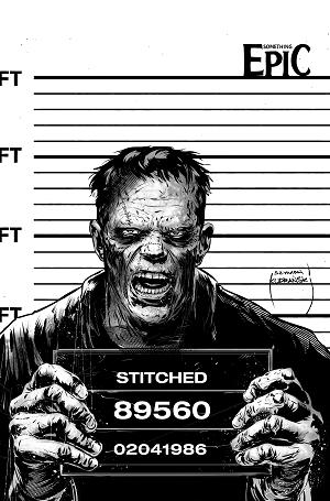 Something Epic #15 CVR C CVR C SZYMON KUDRANSKI RAW ART cover