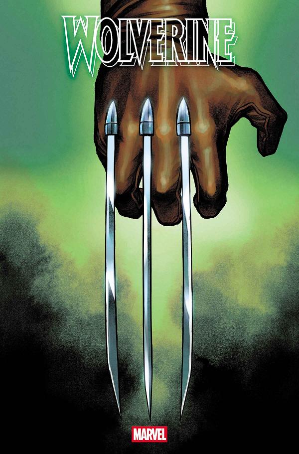 Wolverine #22 MARTIN COCCOLO HIDDEN VARIANT cover