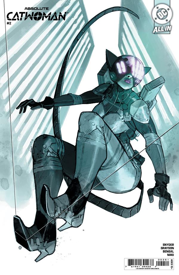 Absolute Catwoman #2 CVR E (OF 6) CVR E INC 1:25 ERIC CANETE CARD STOCK cover