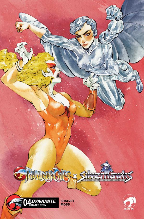 Thundercats X Silverhawks #4 CVR D CVR D CHUMA HILL cover