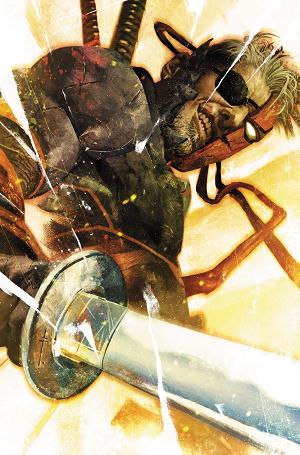 Deathstroke The Terminator #8 CVR C CVR C SEBASTIAN FIUMARA CARD STOCK cover