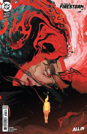 Fury Of Firestorm #5 CVR C (OF 8) CVR C BRAD WALKER CARD STOCK cover