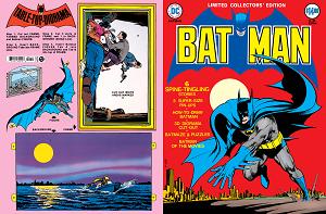 Limited Collectors Edition #25 CVR A NEAL ADAMS cover