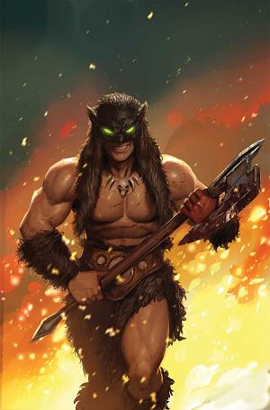 Fire And Ice Darkwolf #2 CVR J CVR J INC 1:20 STJEPAN SEJIC VIRGIN cover