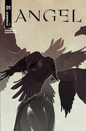Angel #1 CVR C CVR C MEREDITH MCCLAREN cover