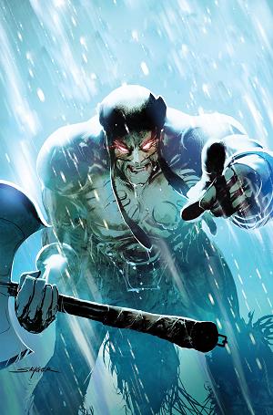 Fire And Ice Darkwolf #5 CVR I CVR I INC 1:10 STUART SAYGER VIRGIN cover