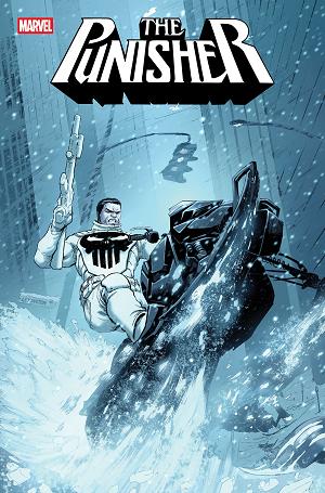 Punisher #12 COVER A cover