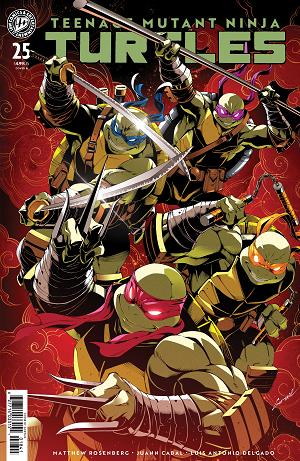 Teenage Mutant Ninja Turtles #25 Variant B (Godtail Cover Set) cover
