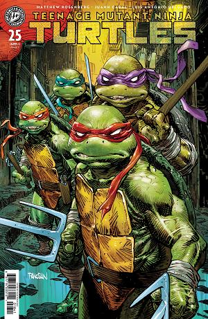 Teenage Mutant Ninja Turtles #25 Variant C (Panosian) cover