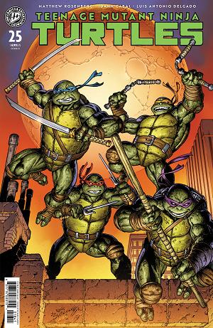 Teenage Mutant Ninja Turtles #25 Variant D (Bagley) cover
