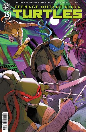 Teenage Mutant Ninja Turtles #25 Variant RI (10) (Hannigan) [1:10] cover