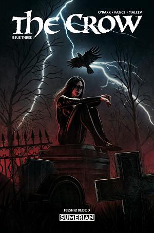 Crow Flesh And Blood #3 CVR A EDUARDO SCHAAL (MR) cover
