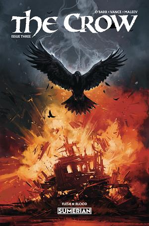 Crow Flesh And Blood #3 CVR C CVR C NINJA JO cover