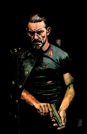 Warbird #4 CVR E (OF 4) CVR E INC 1:50 ALEX MALEEV VIRGIN cover