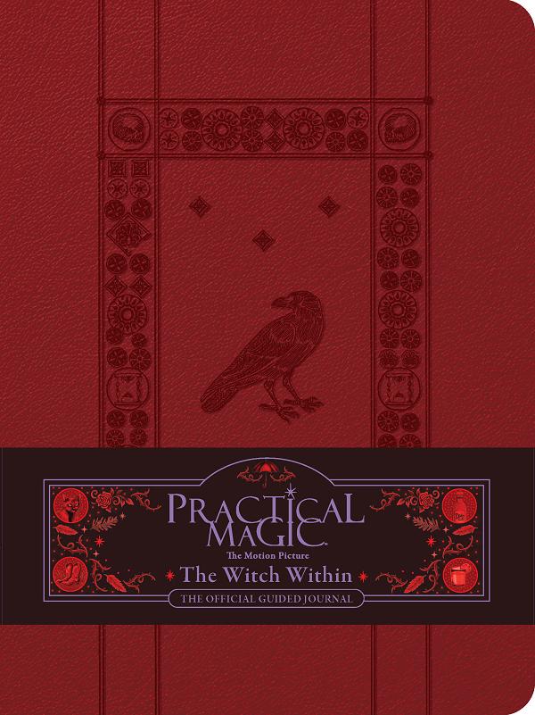 Practical Magic The Motion Picture HC The Witch Within The Official Guided Journal cover by Insight Editions