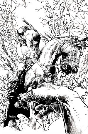 Fire And Ice Darkwolf #4 CVR O CVR O INC 1:10 DAN PANOSIAN LINE ART VIRGIN cover