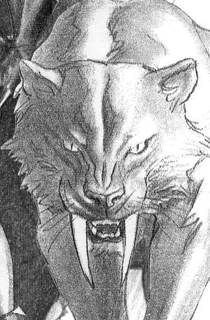 Black Cat #2 ALEX ROSS TIMELESS VIRGIN SKETCH VARIANT [1:100] cover