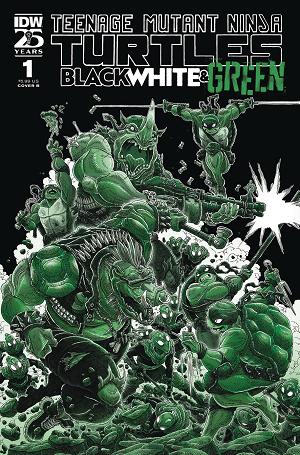 Tmnt Black White & Green #1 CVR B STOKOE cover