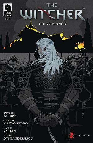 Witcher Corvo Bianco #4 CVR B ZONJIC cover