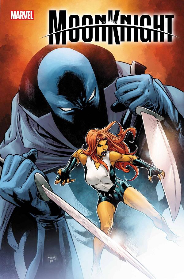 Moon Knight #22  cover