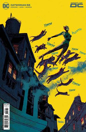 Catwoman #55 CVR C CVR C PANOSIAN CS cover