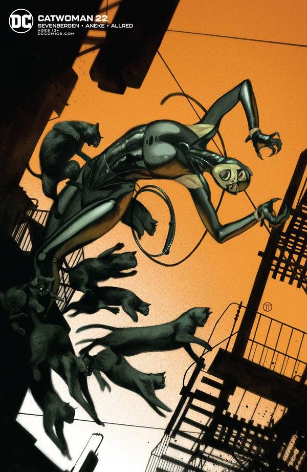 Catwoman #22 CARD STOCK J T TEDESCO cover