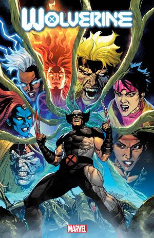 Wolverine #29  cover