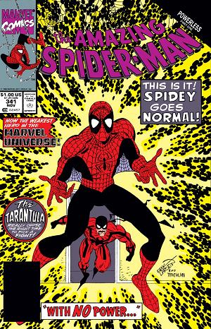 Amazing Spider-Man #341  cover