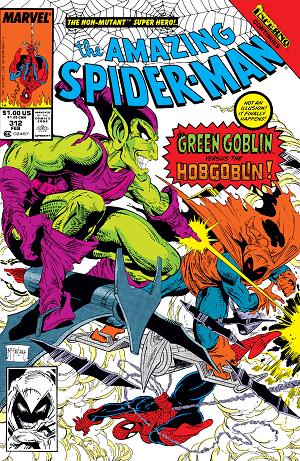 Amazing Spider-Man #312  cover