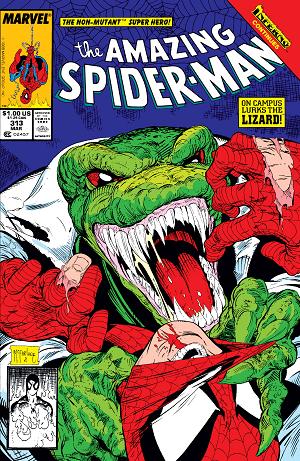 Amazing Spider-Man #313  cover