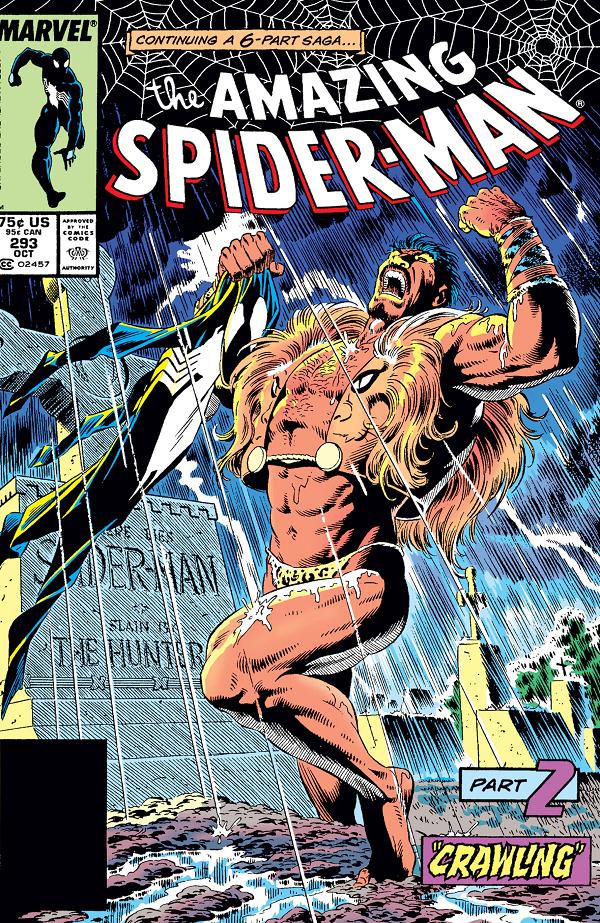 Amazing Spider-Man #293  cover