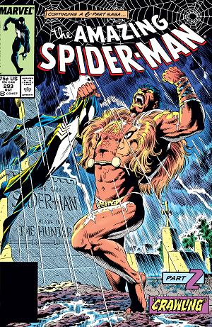 Amazing Spider-Man #293  cover
