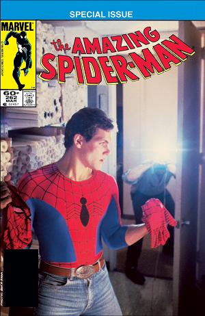 Amazing Spider-Man #262  cover