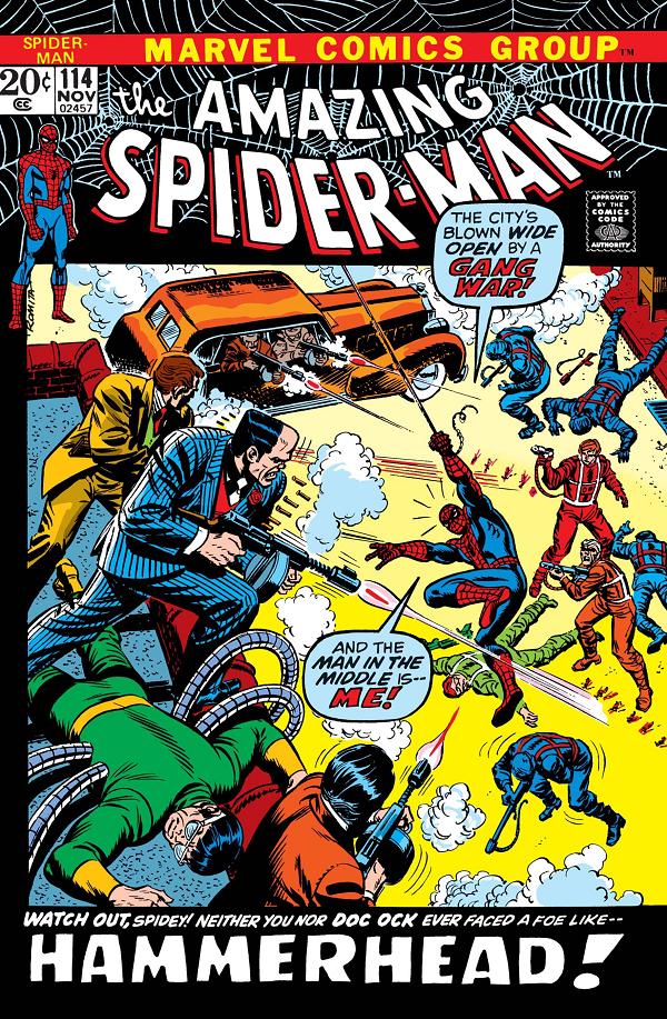 Amazing Spider-Man #114  cover