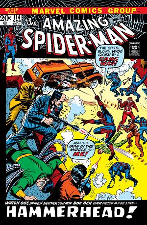 Amazing Spider-Man #114  cover