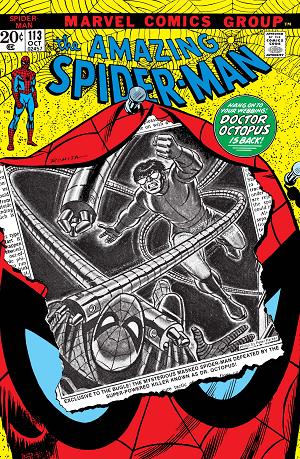 Amazing Spider-Man #113  cover