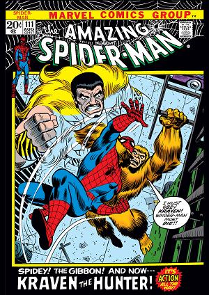Amazing Spider-Man #111  cover