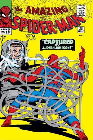 Amazing Spider-Man #25  cover