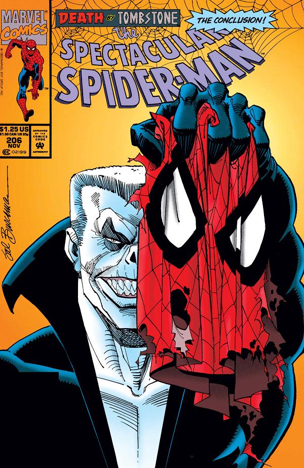 Peter Parker: The Spectacular Spider-Man #206  cover