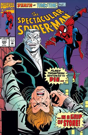 Peter Parker: The Spectacular Spider-Man #205 cover