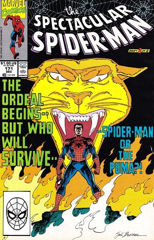 Peter Parker: The Spectacular Spider-Man #171  cover