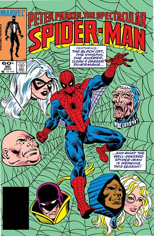 Peter Parker: The Spectacular Spider-Man #96  cover