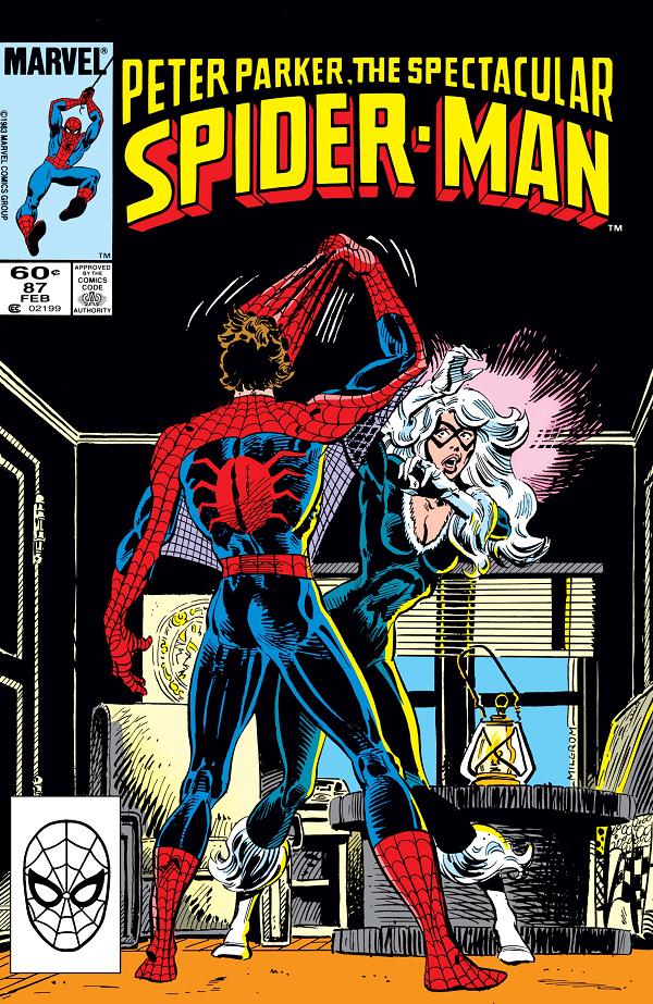 Peter Parker: The Spectacular Spider-Man #87  cover